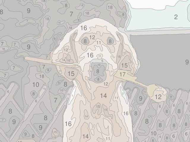The same puppy as a numbered template with light colour hints